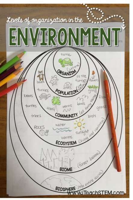 levels of ecological organization worksheet answers
